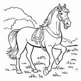 Cartoon Horse Coloring Page 26171463 Vector Art At Vecteezy sketch template