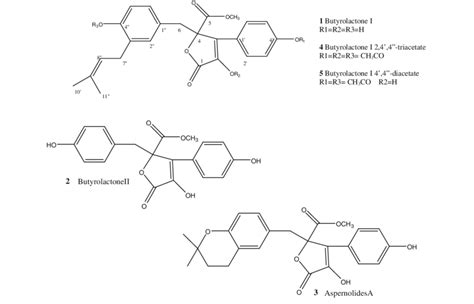 Structure of butyrolactone I derivatives | Download Scientific Diagram