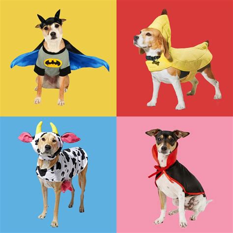 Banana Split Brand new Dog halloween costume L size Affordable prices ...