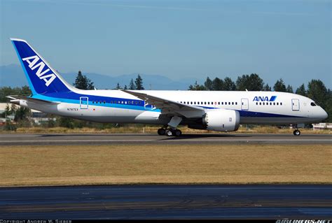 Boeing 787-8 Dreamliner - All Nippon Airways - ANA | Aviation Photo #1599223 | Airliners.net