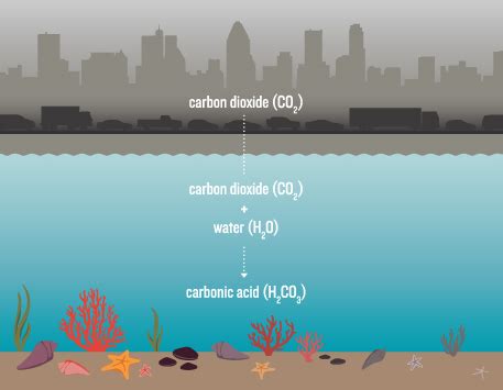 Ocean Acidification