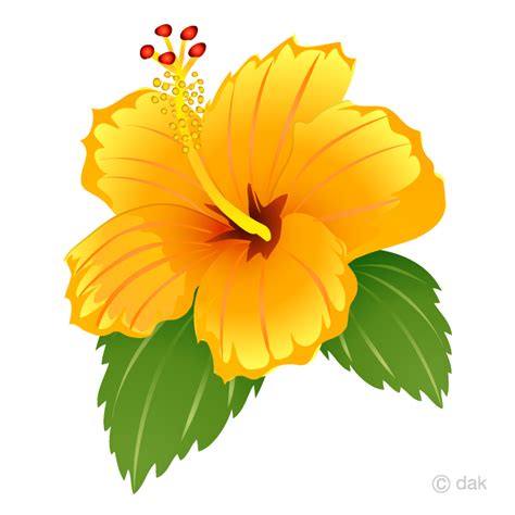 Download High Quality hibiscus clipart yellow Transparent PNG Images ...