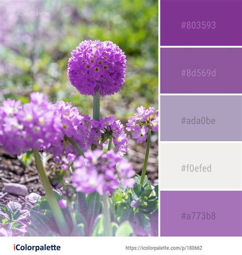 Color Palette ideas #icolorpalette #colors #inspiration #graphics #design #inspirati… | Color ...