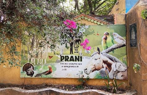 Prani Pet Sanctuary: A place for rescued and abandoned pet animals and birds
