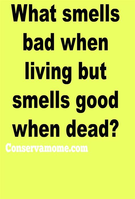 Household Riddles For Adults : Short riddles. Riddles for Adults / Use ...