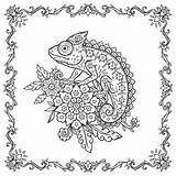 Animal Adult Or Kids coloring Royalty Free Vector Image sketch template
