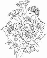 Flower Coloring Pages For Adults At GetDrawings  Free Download sketch template