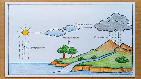 Personable Recommendations Water Cycle Project For School Water Cycle Project in 2020 | Water ...