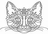 Cat Coloring Pages  Free Printable For Kids sketch template