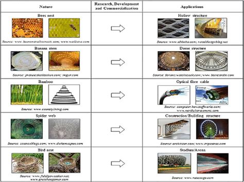 8 Application of material structure inspired by nature | Download Scientific Diagram