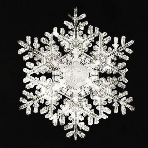 Photomicrograph Stellar Snowflake No. 586 | Free Photo - rawpixel