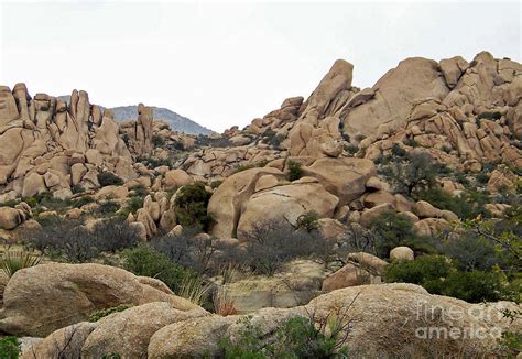 Texas Canyon - Arizona Photograph by Carolyn Baumgart - Fine Art America