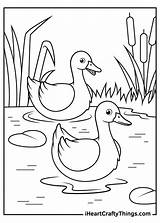 15 Duck Coloring Pages 100% Free Printables sketch template