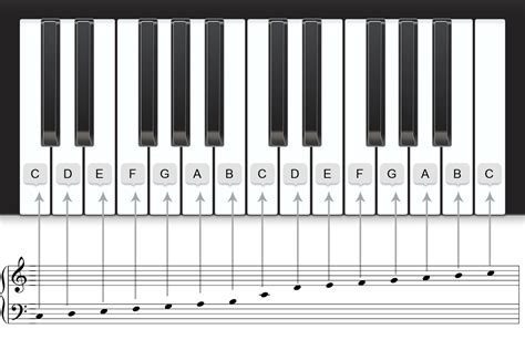 Piano Keyboard With Note Names