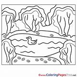 Pond Coloring Pages Printable Sketch Page sketch template