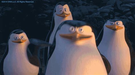 Just smile and wave, boys ! Smile and wave