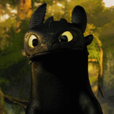 Cute Toothless GIFs | Tenor