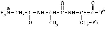 What is structure of tripeptide Gly Ala Phe Tripeptide formed by ...