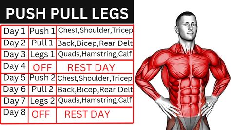 Push Pull Legs Workout Plan PPL, 56% OFF | www.pinnaxis.com