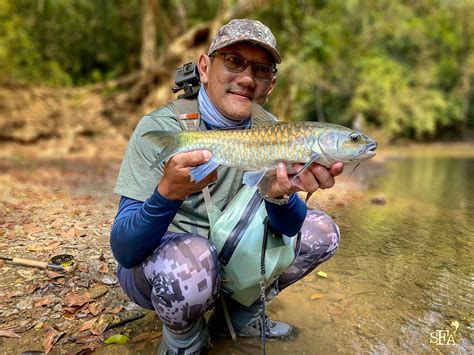 Topwater Mahseer Madness (Best Ever Dry Fly Fishing) - Sport Fishing Asia