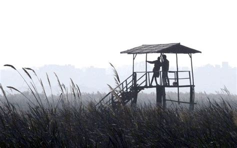 Bird lovers flock Okhla sanctuary to see new arrivals | IndiaToday