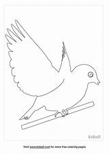 Free Flying Bird Coloring Page  Coloring Printables Kidadl sketch template