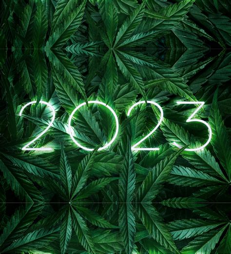 2023 Cannabis Trends to Watch | Abstrax Tech