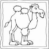 Camel Coloring Book  Easy And Fun Camels For Kids Made sketch template