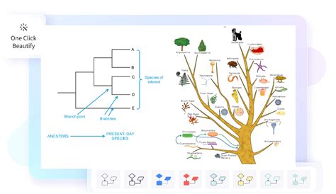 Professional Phylogenetic Tree Maker