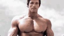 Schwarzenegger Bodybuilding GIFs | Tenor