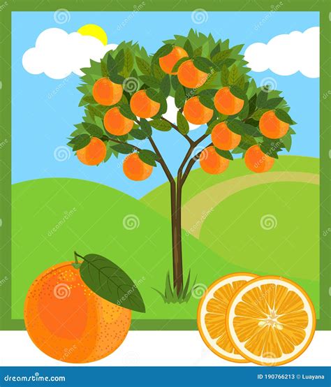 árbol De Naranjas De Dibujos Animados Con Naranjas Y Hojas Verdes Ilustración del Vector ...