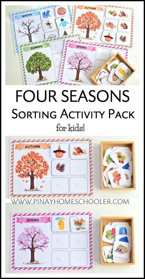 Four Seasons Sorting Activity (REAL IMAGES) | Seasons activities, Sorting activities, Seasons ...