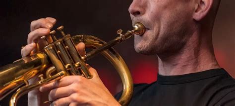 How Are Brass Instruments Played? | Audiolover