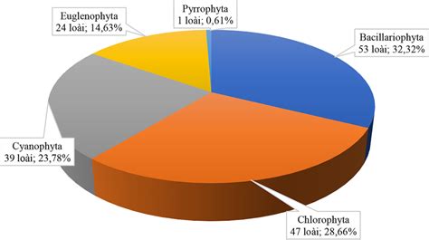 Composition of phytoplankton in the study area | Download Scientific ...