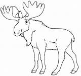 Moose Smiling Coloring Page  Free Printable Pages sketch template