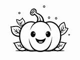 Pumpkin Coloring Printable  Page sketch template