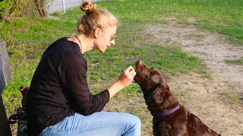 Friendship Day 2018: 7 Heart-Warming Pictures of Friendship Between Animals and Human Beings | 📸 ...