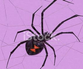 Black Widow Spider Stock Vector | Royalty-Free | FreeImages