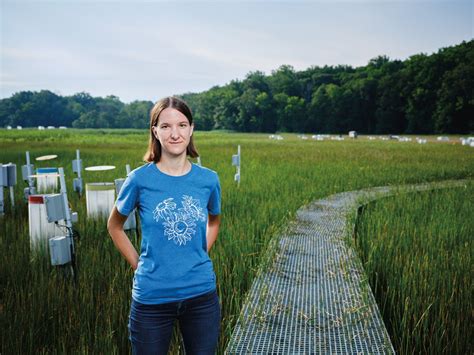 Why Marshlands Are the Perfect Lab for Studying Climate Change – Smithsonian Magazine – Impact ...