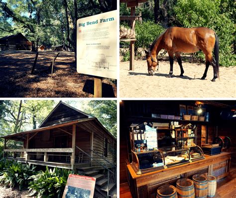 Tallahassee Museum: A Different Kind Of Museum | Buddy The Traveling Monkey