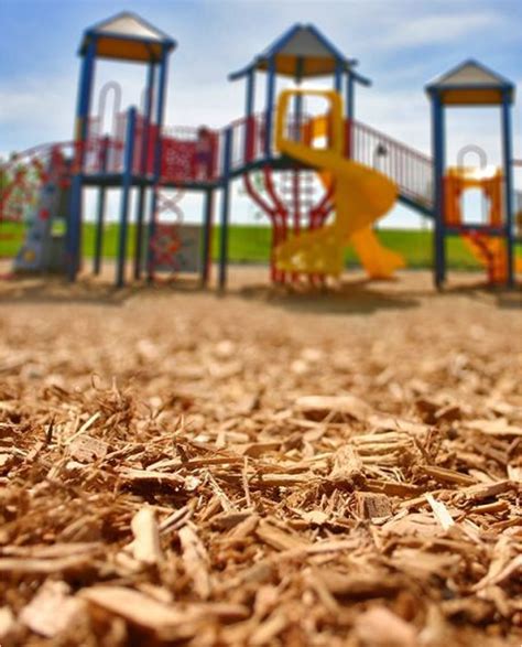 Engineered Wood Fiber | Playground Safety Surfacing