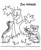 Printable Cute Zoo coloring page  Download Print Or Color Online For Free sketch template