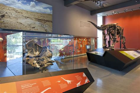 Sternberg Museum of Natural History | Exhibition Design | Pinterest | Natural history, Museums ...