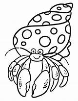 Hermit Crab Coloring Pages  Learny Kids sketch template