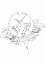 Night butterfly Moth  Butterflies & Insects Coloring Pages For Adults sketch template