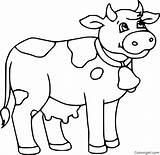 Dairy Cow Coloring Page Printable sketch template