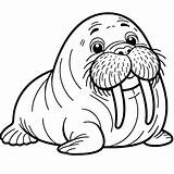 Walrus Coloring Pages 29  Gem sketch template