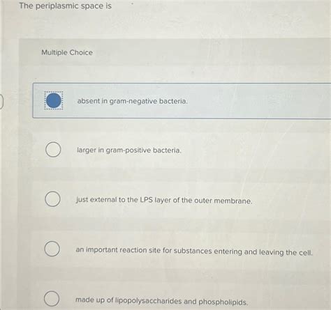 Solved The periplasmic space isMultiple Choiceabsent in | Chegg.com