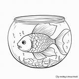 Fish Bowl Coloring Pages  Free & Printable sketch template