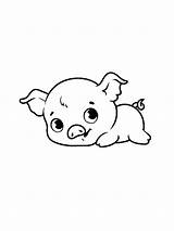 Baby Pig coloring Pages sketch template